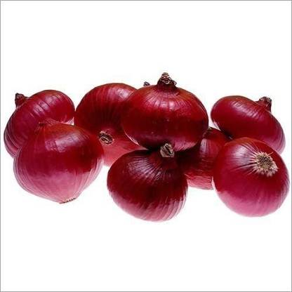 KANAYA Onion Red Kanda Vegetable Seed