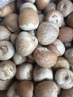 chengara Supari, Areca Nut, Betel Nut, Pakku Seed