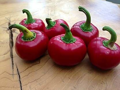 KNESSiN Red Cherry Bomb Pepper Seed