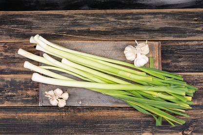 WILLVINE HUA-276 Chives Onion (Garlic Scapes) Seed