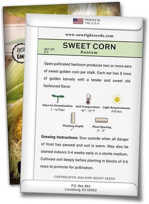 VibeX GUA-49 - Golden Bantam Corn - (250 Seeds) Seed