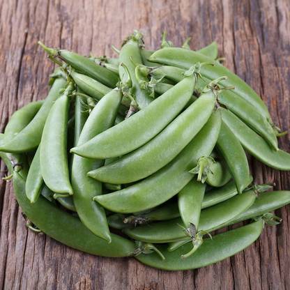 VibeX ® LXI-536 Organic Cascadia Peas Seed