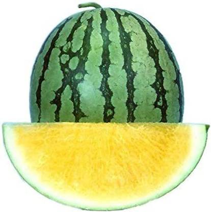 VibeX PUAS-26 - F1 Hybrid less Watermelon(Yellow Flesh) - (150 Seeds) Seed