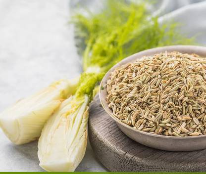 CYBEXIS XL-46 - Common Fennel (Foeniculum vulgare) - (250 Seeds) Seed