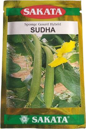 Manish khad Beej Bhandar Seeds Seed