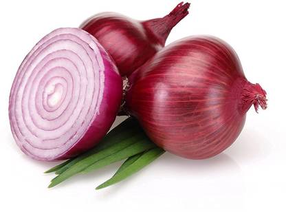 VibeX ® VMR-876 Vengayam Seeds, Onion Red Seed