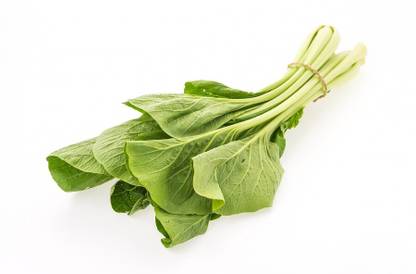 DHENU PRASAD 1106 F1 Hybrid Spinach High Yield (Palak) Seed