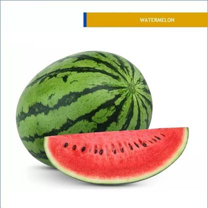 Farmonix Watermelon fruit sweet and juicy watermelon Seed