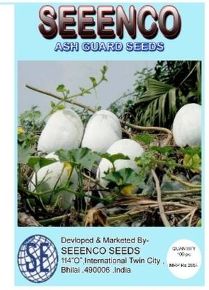 Spices Ash guard Seed