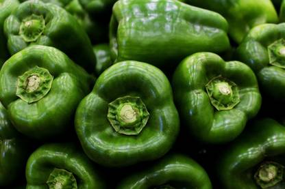 VibeX TLX-41 - Capsicum Green ANDHRA-115 - (150 Seeds) Seed