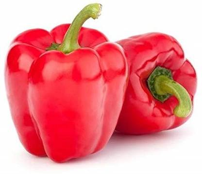 CYBEXIS GUA-66 - Capsicum Red Colour - (450 Seeds) Seed