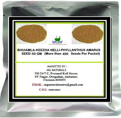 MGBN BHUIAMLA-KEEZHA NELLI-PHYLLANTHUS AMARUS SEED 50 GM Seed