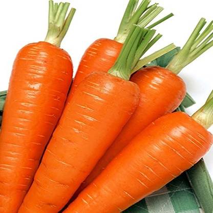 CRGO CARROT , GAJAR Seed