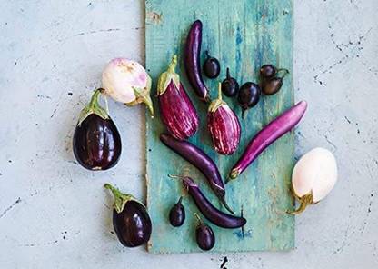 CYBEXIS Brinjal Eggplant Seeds, Aubergine Mix - Vegetables Seed600 Seeds Seed