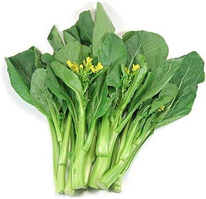 WILLVINE SYN -VI Choy Sum Yu Choy Chinese Cabbage [2.5g] Seed