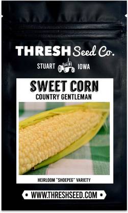 WILLVINE PAU -I Country Gentleman Sweet Corn-[1Kg] Seed
