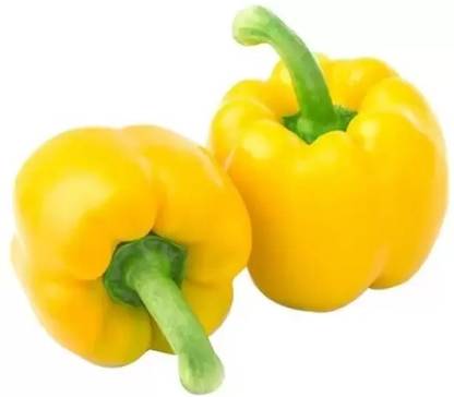 Aro Yellow Capsicum, Capsicum, Bell Pepper Seed