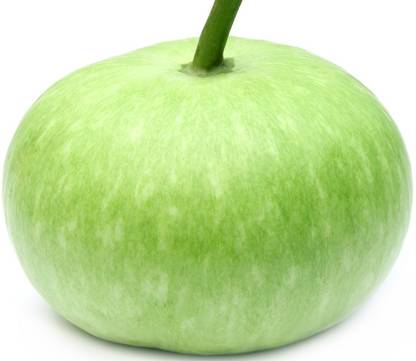 UGRA Bottlegourd Seeds (Round) Seed