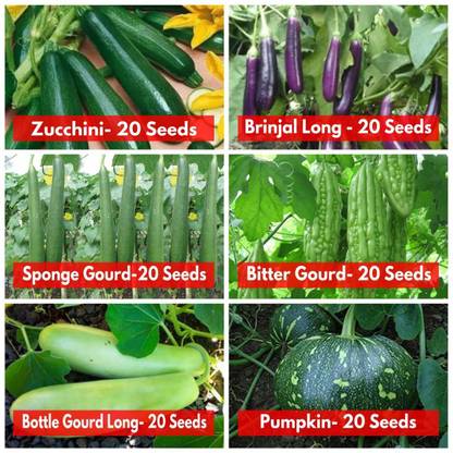 TRICONE Combo Pack Seed