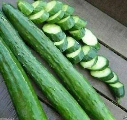 VibeX HUA-31 - Armenian Dark Green Cucumber - (1350 Seeds) Seed