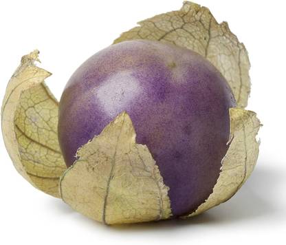 WILLVINE F1 Hybrid Purple Milpa Tomatillo (Physalis ixocarpa)-2500 Seeds Seed