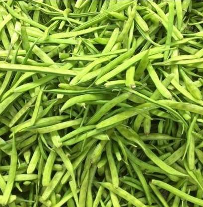 Avysa cluster beans Seed