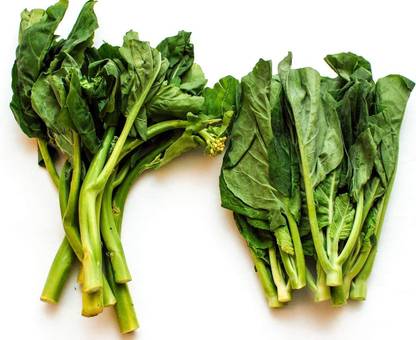 VibeX ® VLR-460 Chinese Broccoli, Green GAI LAN Choi Seed