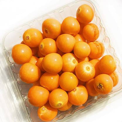 QALANDAR Golden Berries / Cape Gooseberries Seed