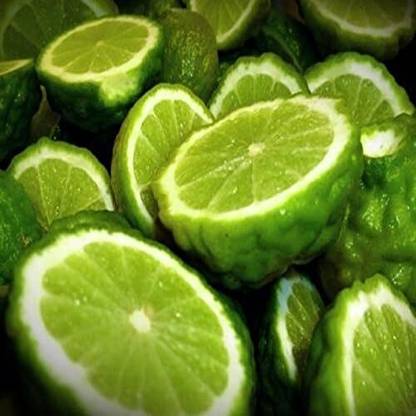 CRGO ® XII-1624 Kaffir Lime seeds Seed