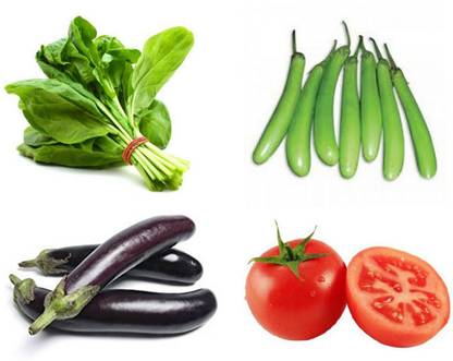 R-DRoz Combo of 4 Types of Vegetable Seeds for Kitchen Gardening Seed