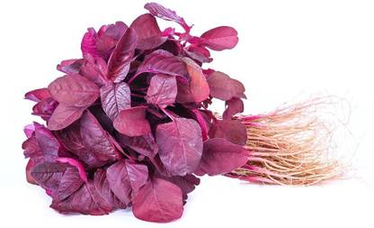 Greenery Live Plant Lal Saag Seed