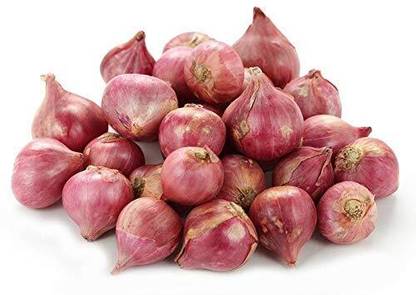WILLVINE VMR -VII Small Onion k2 Hybrid Shallots [10g] Seed