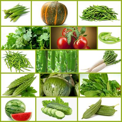 FLARE SEEDS 15 Variety of Summer Hybrid Vegetable Seeds Combo Pack Seed