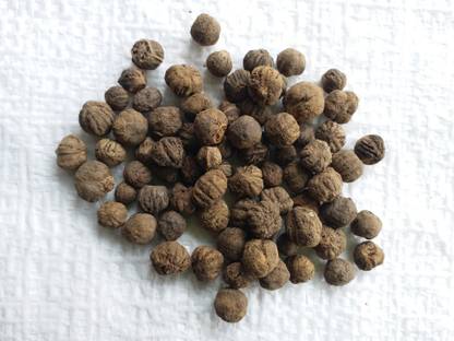 EasySeeds Sagwan:Teakwood:Sagun:Tekku:Tectona Grandis Seed