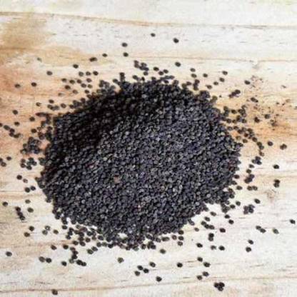 CYBEXIS Exotic - Cleome Viscosa Seeds 200 Seeds Seed