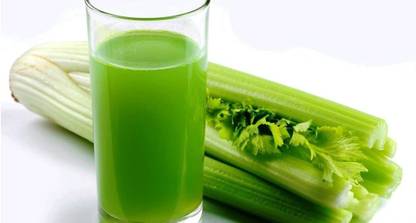CYBEXIS Fast Germination Celery Seeds2800 Seeds Seed