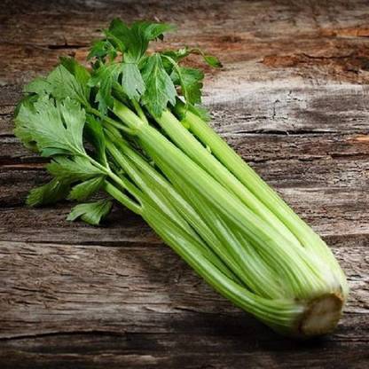 VibeX ® VLR-80 Seeds Celery Pascal Seed