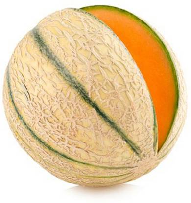 MRCY Charentais Melon/Musk Melon Seed