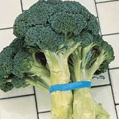 VibeX ® VXI-403 Green Goliath Broccoli Seeds Seed