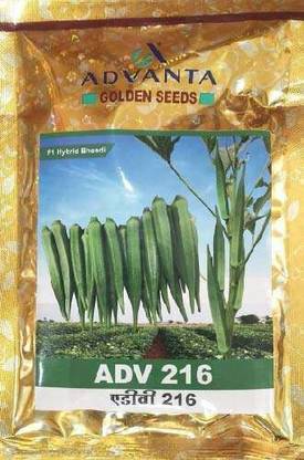 Cloud Farm f1 hybrid upl advanta adv 216 ladyfinger Seed