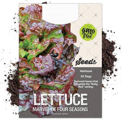 VibeX XL-12 - Marvel of Four Seasons Lettuce - (1350 Seeds) Seed