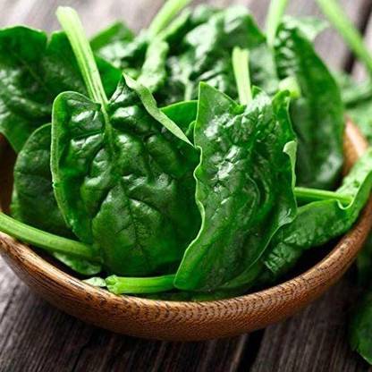 VibeX Spinach Seed