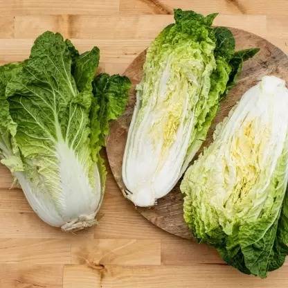 Aro Chinese Cabbage, Napa Seed