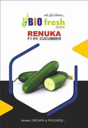 BIOFRESHSEEDS BIOFRESH-F1 HYBRID CUCUMBER RENUKA Seed