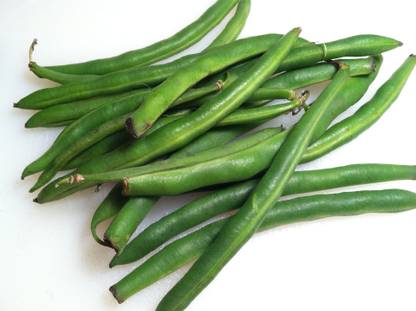 BDSresolve legume seeds Seed