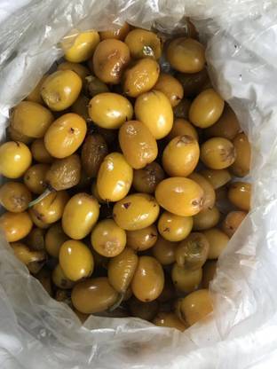 XOLDA Khirni (Manilkara hexandra) Seed