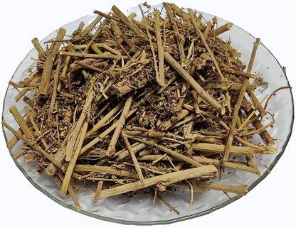 Natures Yard AFSANTEEN - ARTEMISIA ABSINTHIUM - WORMWOOD Seed