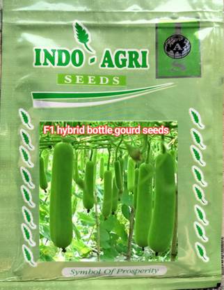 HYBRID 10g F1 hybrid bottle gourd seeds highest yield variety early fruiting dark green Seed