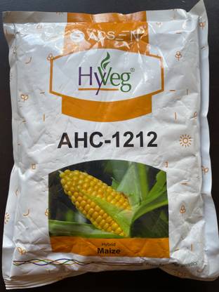 hyweg maize Seed