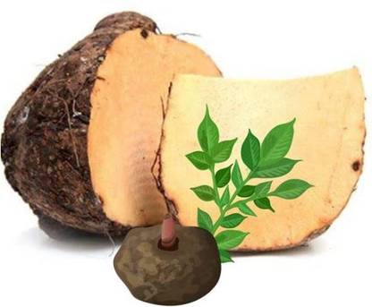 Amy's Fresh Elephant Foot Yam Slice /??? / Suran / Jimikand Seed